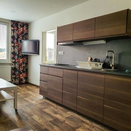 Apartmany Schmiedeberg U Klinovce Kovářská Dış mekan fotoğraf